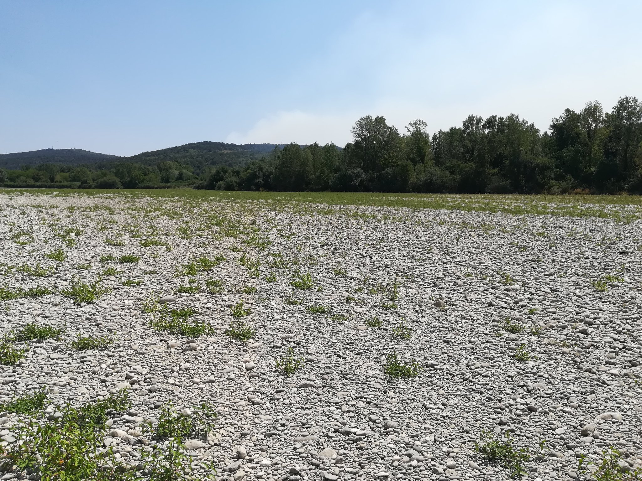 Copertina per EDITORIALE - Se il fiume muore...